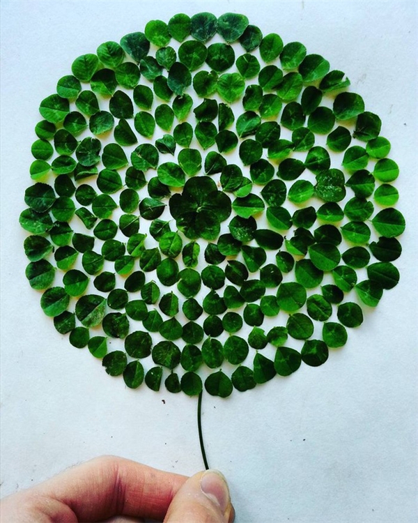 
Quả bong bóng vui mắt được tạo ra từ những chiếc lá.