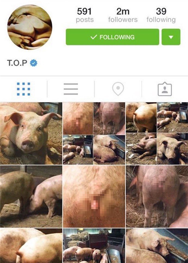 Đâu chỉ mỗi Sulli, Instagram sao Kpop cũng không thiếu hình kì dị