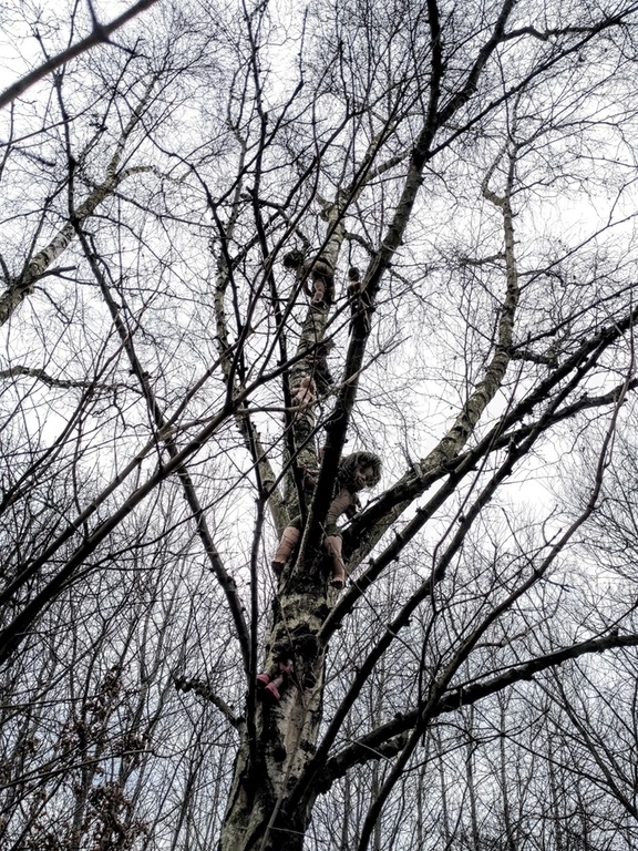 
Liệu có một đứa trẻ nào đủ cao hay leo trèo đủ giỏi để đặt những con búp bê ma quái này lên cây? 