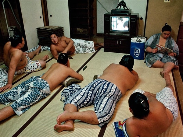 Thở không nổi với suất ăn khổng lồ của các võ sĩ Sumo Nhật