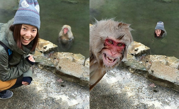 Hãy giúp chú khỉ trông vui vẻ như cô gái kia nhé!